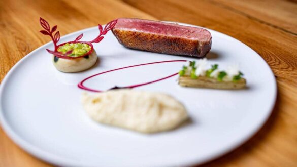 Hotel Atlantis, Brno