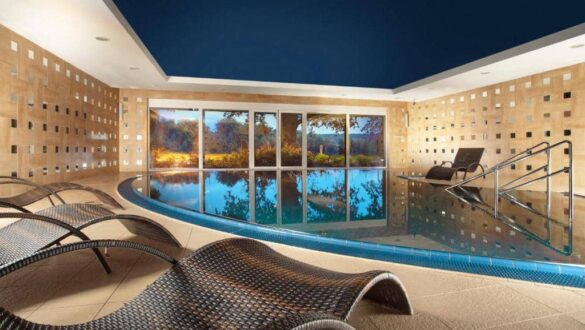 Spa Resort Tree of Life